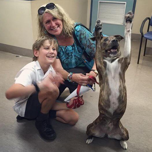 shelter dog excited to go home