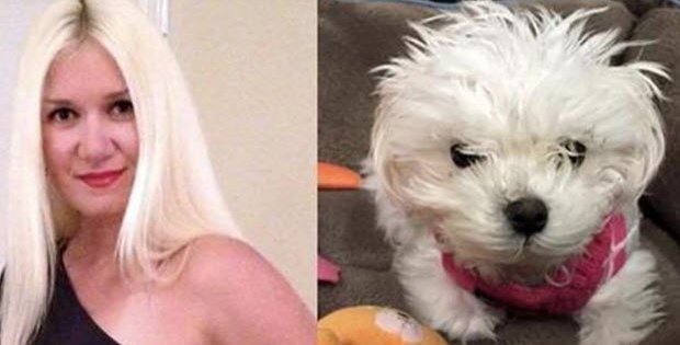 woman throws puppy from car