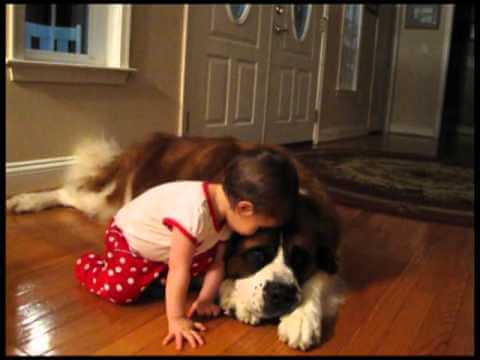 HUGE DOGS LOVE SMALL BABIES