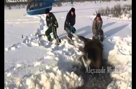 human kindness video