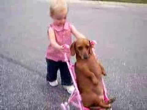 dog stroller girl