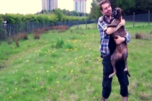 One day your dog will die
