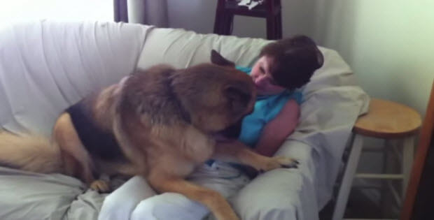 german shepherd is happy to reunite with his mom