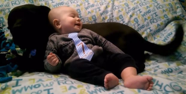 funny-dogs-make-babies-laugh1