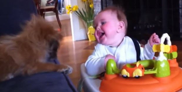 funny-dogs-make-babies-laugh2