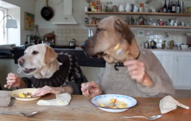 two-dogs-dining-with-forks-and-knifes2