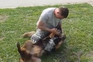 dog-turned-into-puppy-when-runiting-with-owner-1