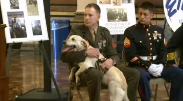 white-lab-dog-reuniting-with-soldier4