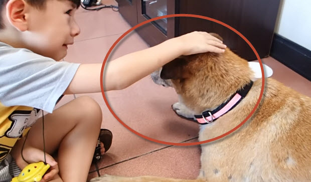 boy says good bye to his dog at vet's office