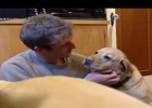 dog cancer vaccine