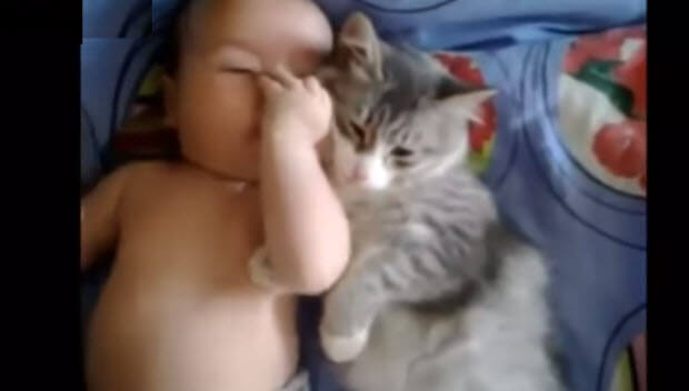 dogs-and-cats-cuddling-with-babies-2