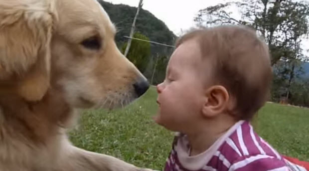 huge-dog-with-tiny-baby-1