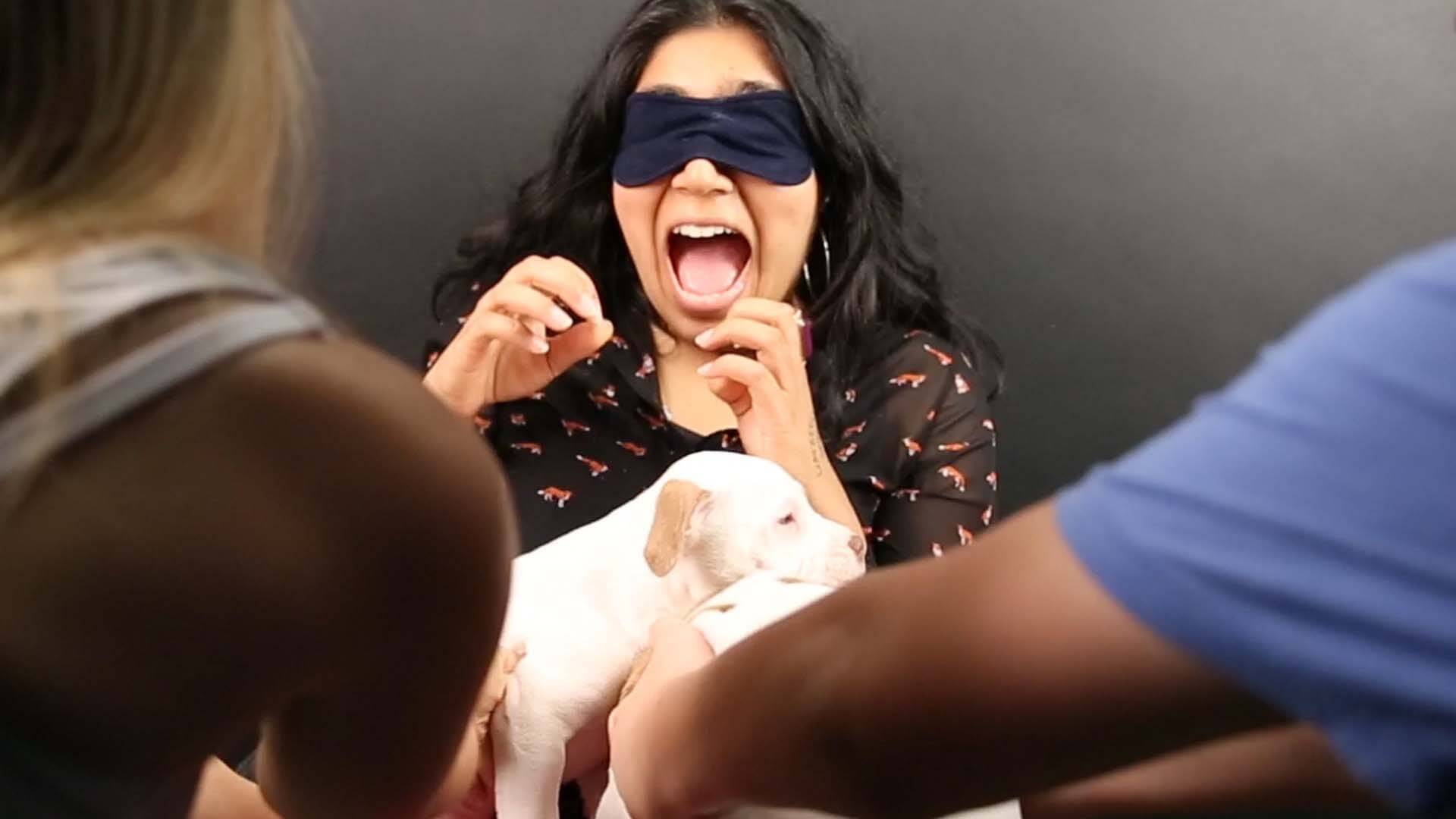 People Who Are Terrified Of Dogs Were Blindfolded And Then Given Puppies Their Reaction Is Just Priceless