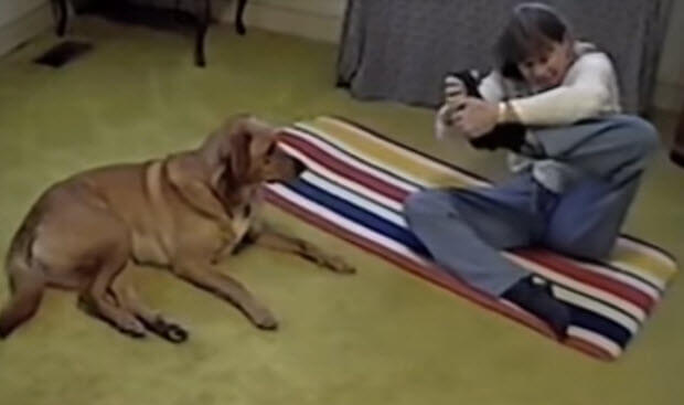 yoga-dog