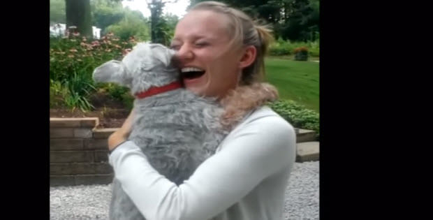 awesome-dog-reunions-3