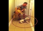 Special Need Dog Reunion - Very Touching And Heart Warming