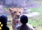 kids love zoo
