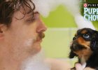 Cute and Entertaining Video About Love, Dogs, Relationships Love It