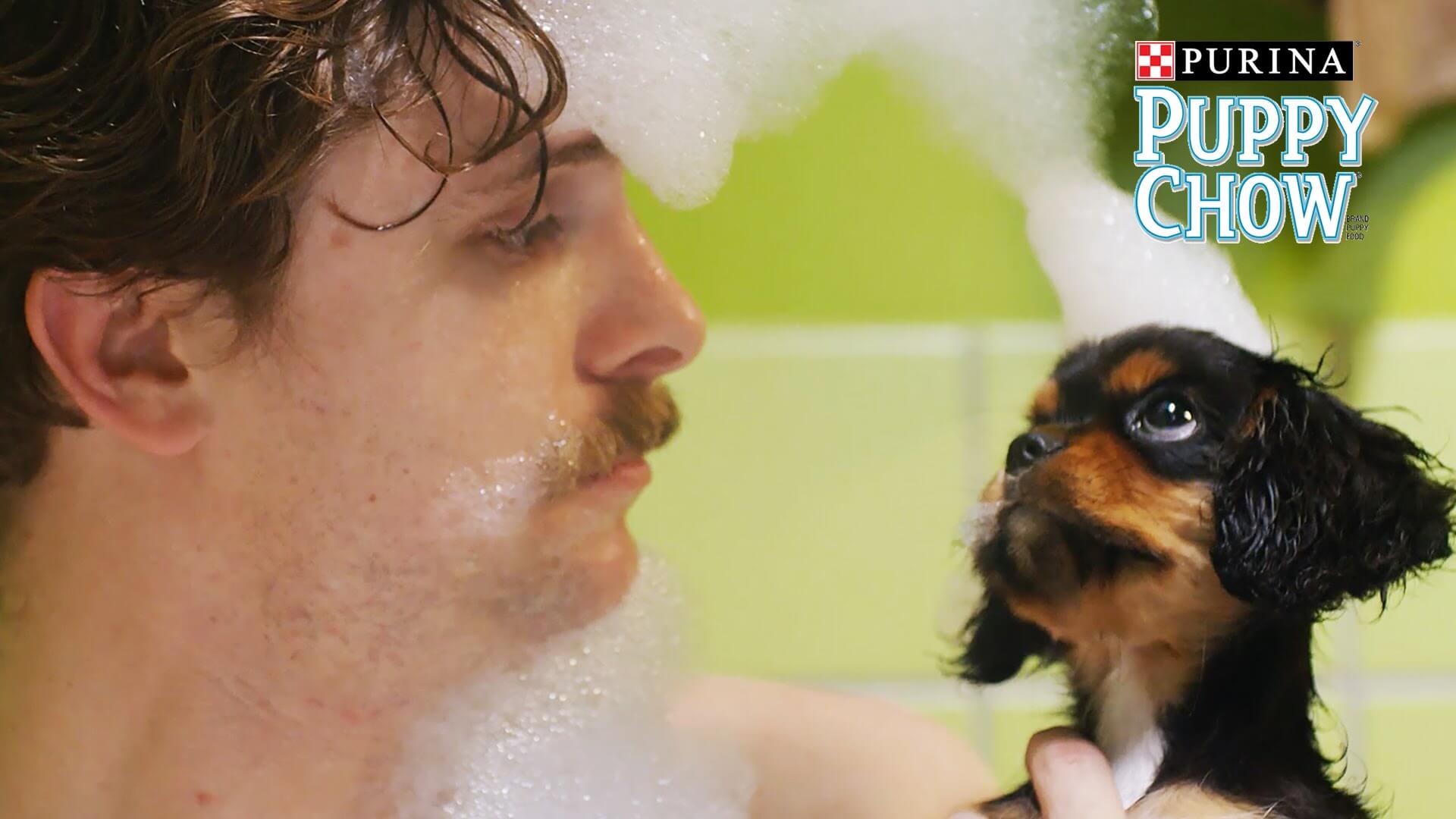 Cute and Entertaining Video About Love, Dogs, Relationships Love It