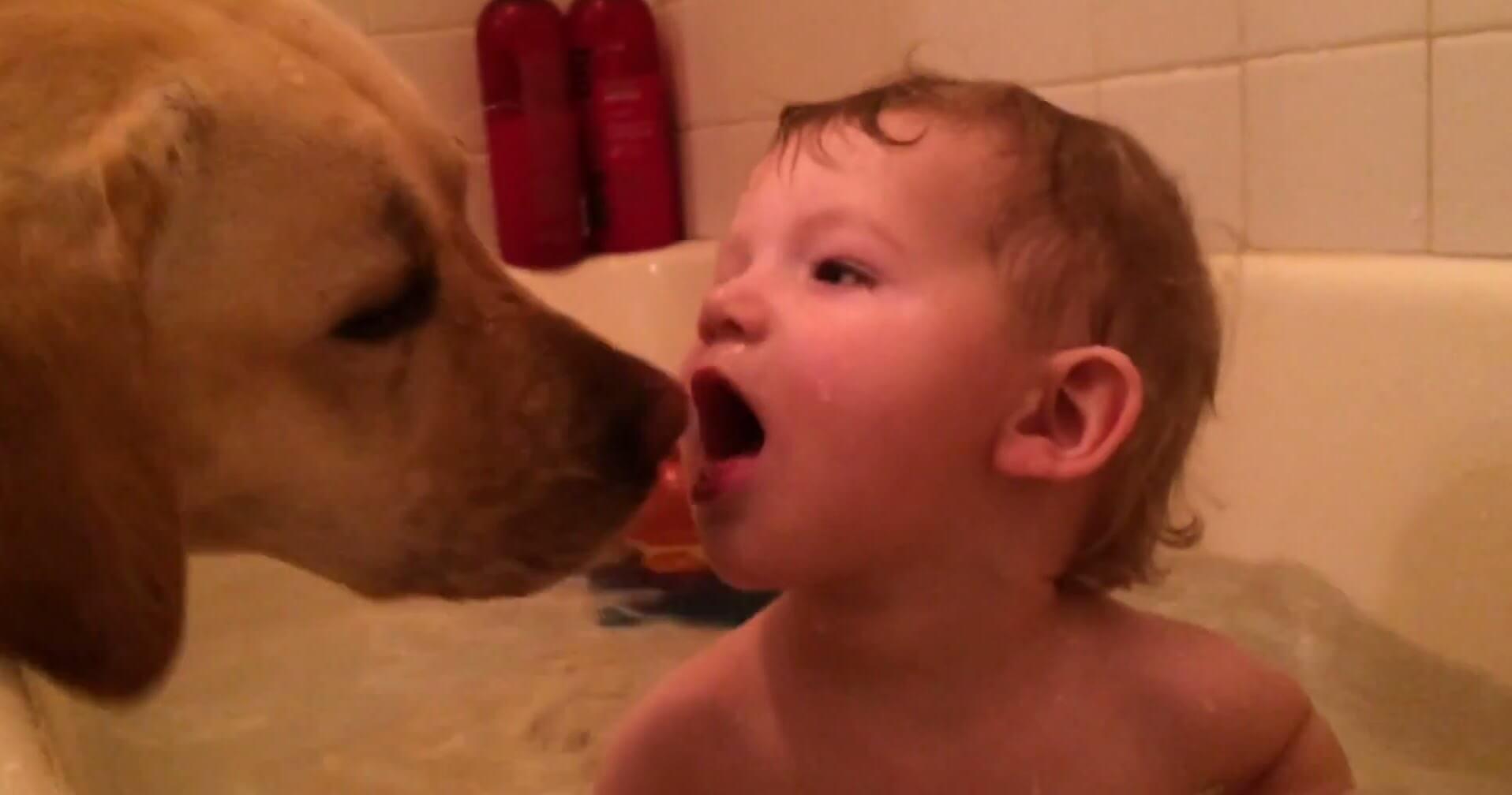 Lab baby taking bath together