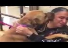heartfelt dog reunion