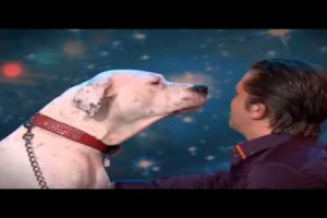 what this dog can do is amazing!