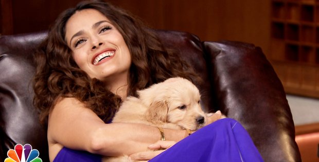 Salma Hayek With Adorable Puppies On The Tonight Show