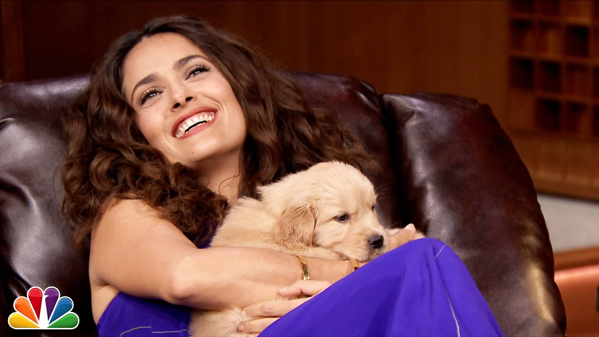 Salma Hayek With Adorable Puppies On The Tonight Show