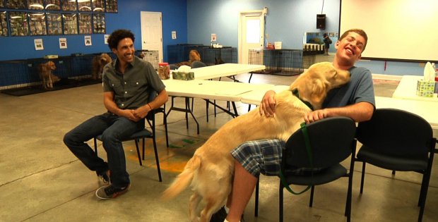 service dog