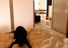 labrador