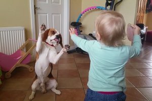 dogs are family