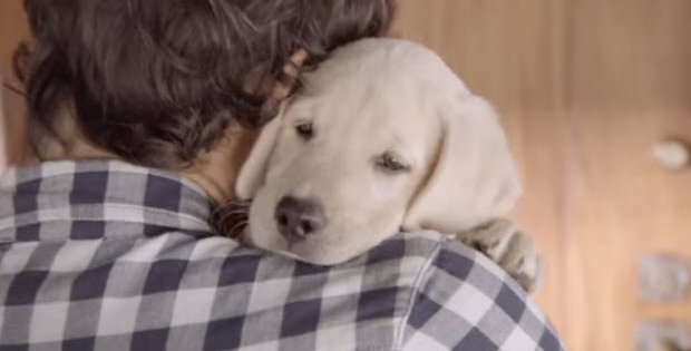 dog-mans-best-friend