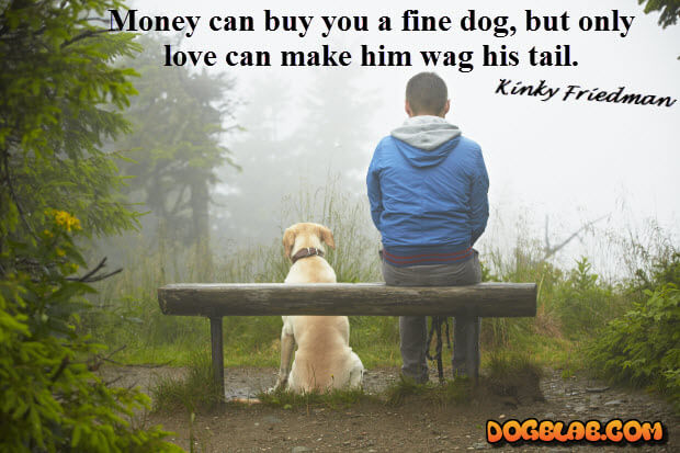 money-can-buy-you-dog