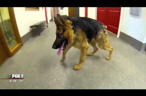 gsd with spine defect