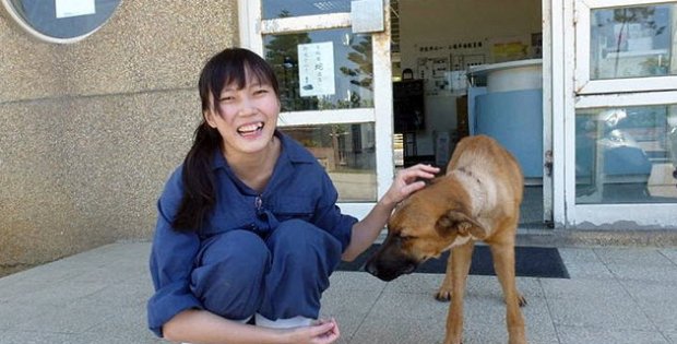 animal shelter director suicide