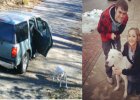 dog put up for adoption