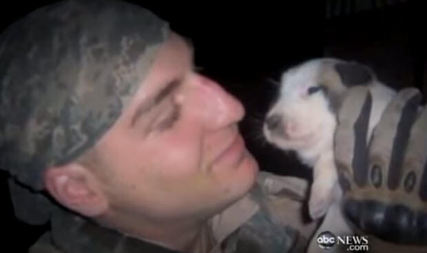 fallen soldier with his dog