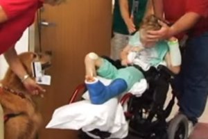 they introduce lifeless son to the dog - animal therapy