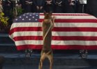 max dog movie soldier ptsd