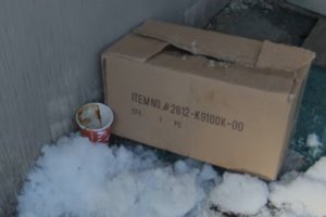 dog left die frozen box