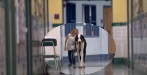 great dane little girl