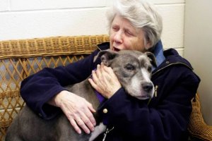 pit bull nobody wanted