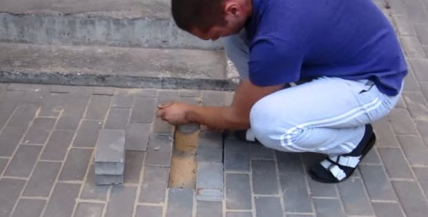 pregnant dog buried alive