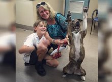 shelter dog excited to go home
