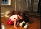 HUGE DOGS LOVE SMALL BABIES