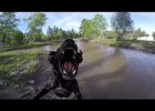 Lab bites drone
