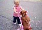 dog stroller girl